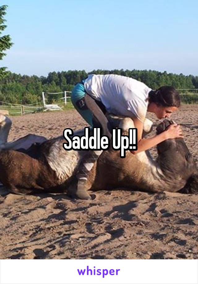 Saddle Up!!