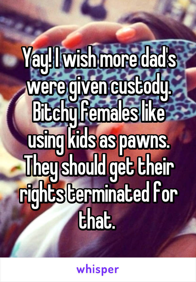 Yay! I wish more dad's were given custody. Bitchy females like using kids as pawns. They should get their rights terminated for that. 