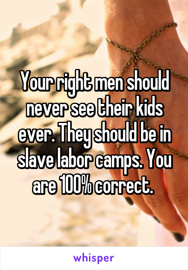 Your right men should never see their kids ever. They should be in slave labor camps. You are 100% correct. 