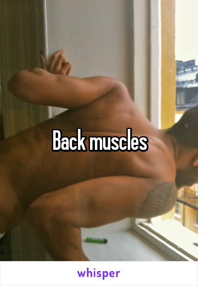 Back muscles