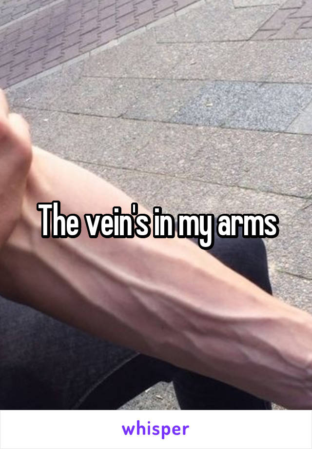 The vein's in my arms