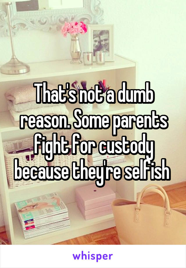 That's not a dumb reason. Some parents fight for custody because they're selfish 