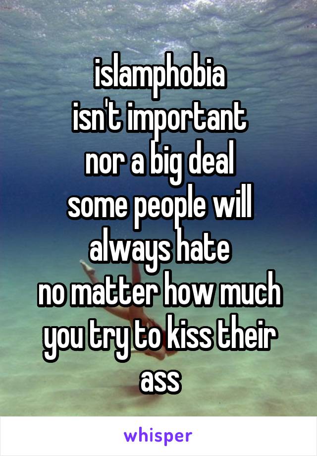 islamphobia
isn't important
nor a big deal
some people will always hate
no matter how much you try to kiss their ass