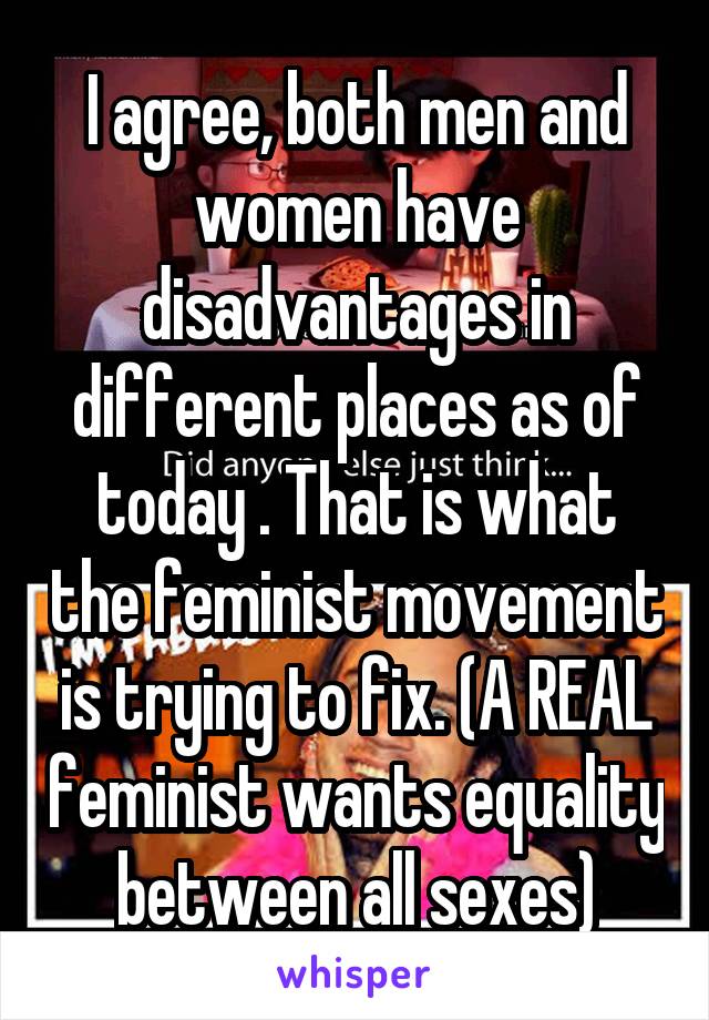 I agree, both men and women have disadvantages in different places as of today . That is what the feminist movement is trying to fix. (A REAL feminist wants equality between all sexes)