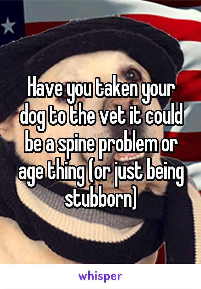 Have you taken your dog to the vet it could be a spine problem or age thing (or just being stubborn)