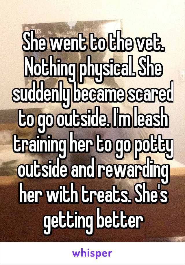 She went to the vet. Nothing physical. She suddenly became scared to go outside. I'm leash training her to go potty outside and rewarding her with treats. She's getting better