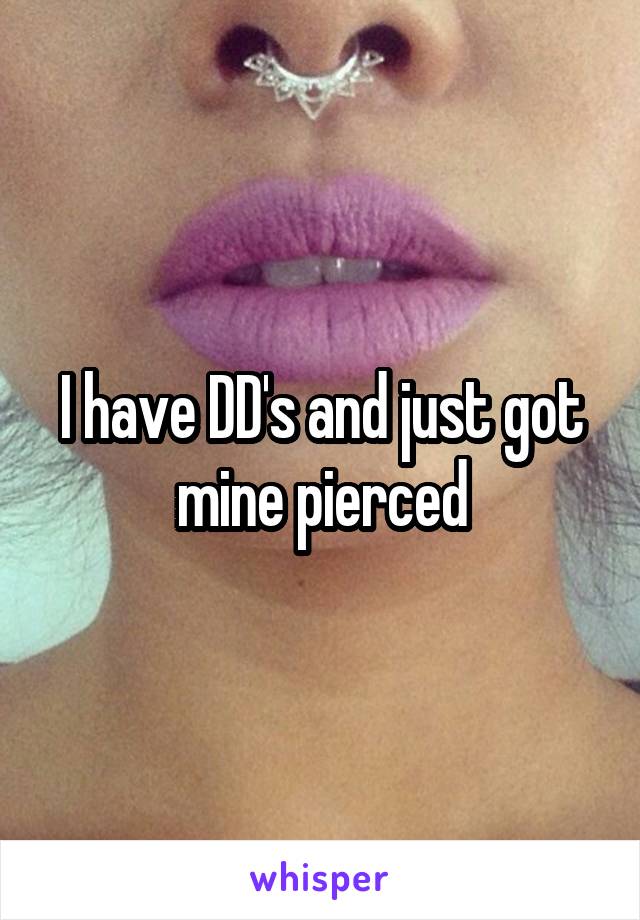 I have DD's and just got mine pierced