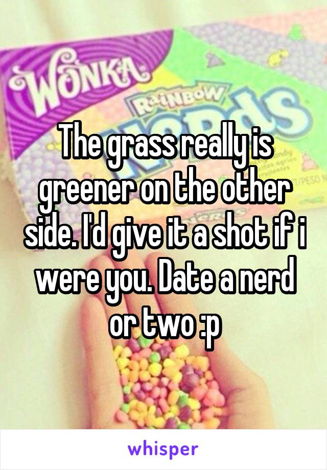 The grass really is greener on the other side. I'd give it a shot if i were you. Date a nerd or two :p