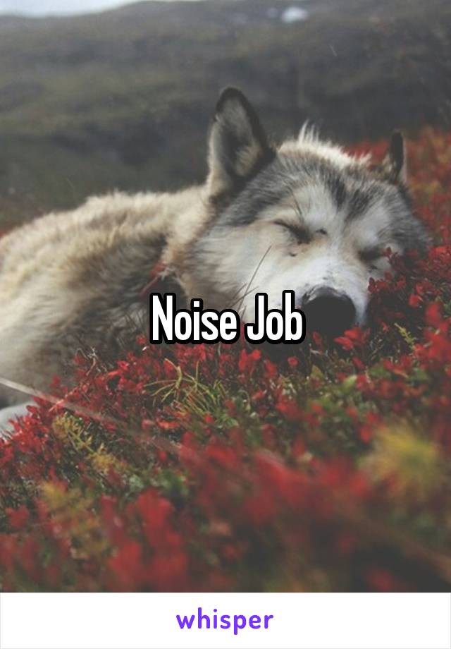 Noise Job