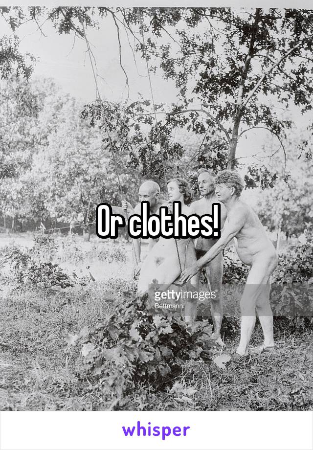 Or clothes!