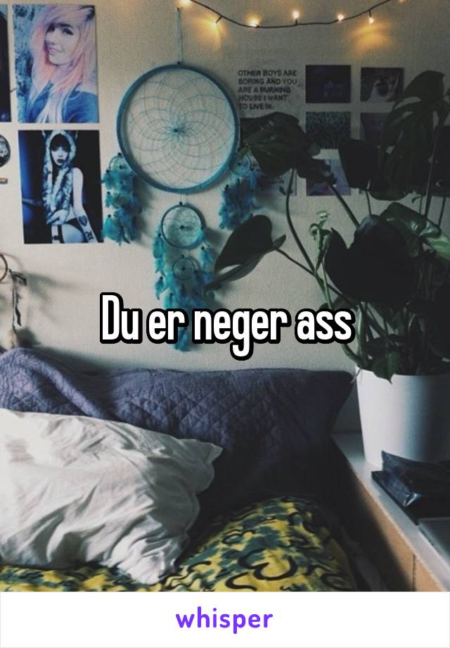 Du er neger ass