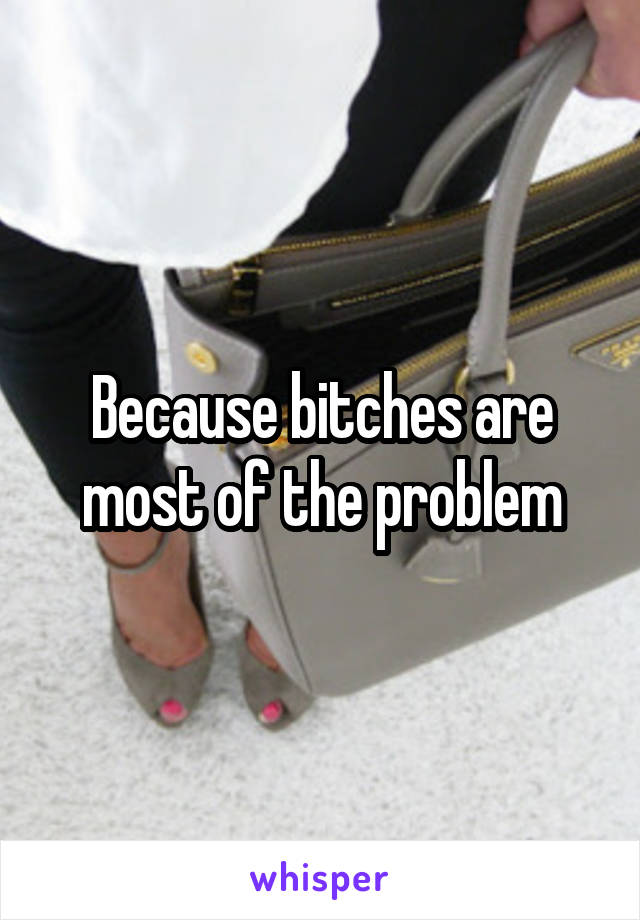 Because bitches are most of the problem