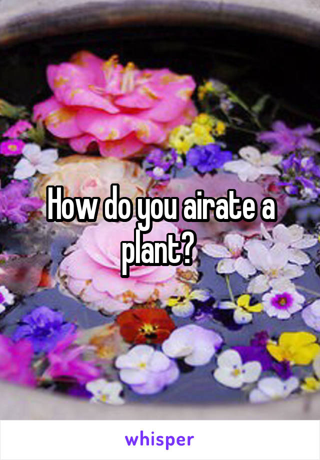 How do you airate a plant? 