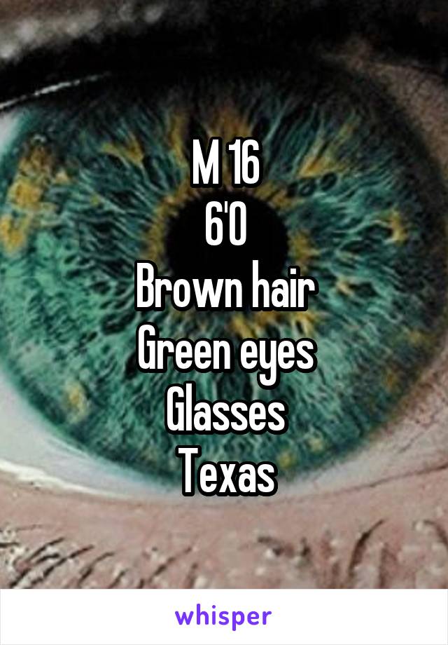 M 16
6'0
Brown hair
Green eyes
Glasses
Texas