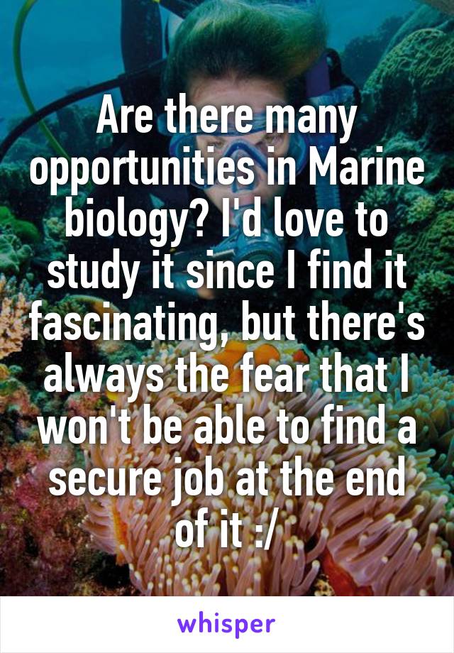 Are there many opportunities in Marine biology? I'd love to study it since I find it fascinating, but there's always the fear that I won't be able to find a secure job at the end of it :/