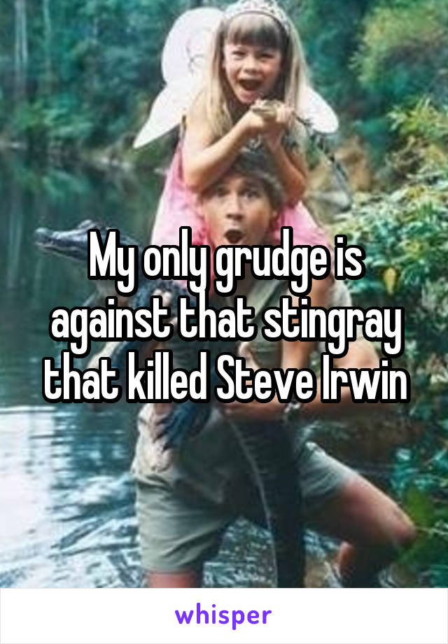 My only grudge is against that stingray that killed Steve Irwin