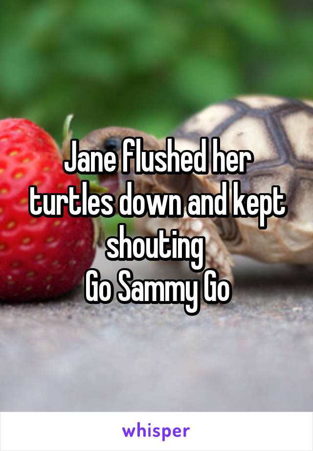 Jane flushed her turtles down and kept shouting 
Go Sammy Go