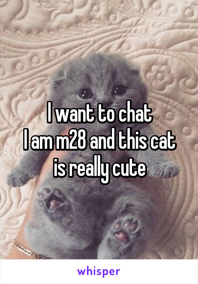 I want to chat
I am m28 and this cat is really cute