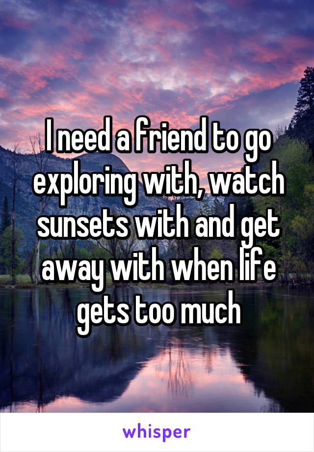 I need a friend to go exploring with, watch sunsets with and get away with when life gets too much