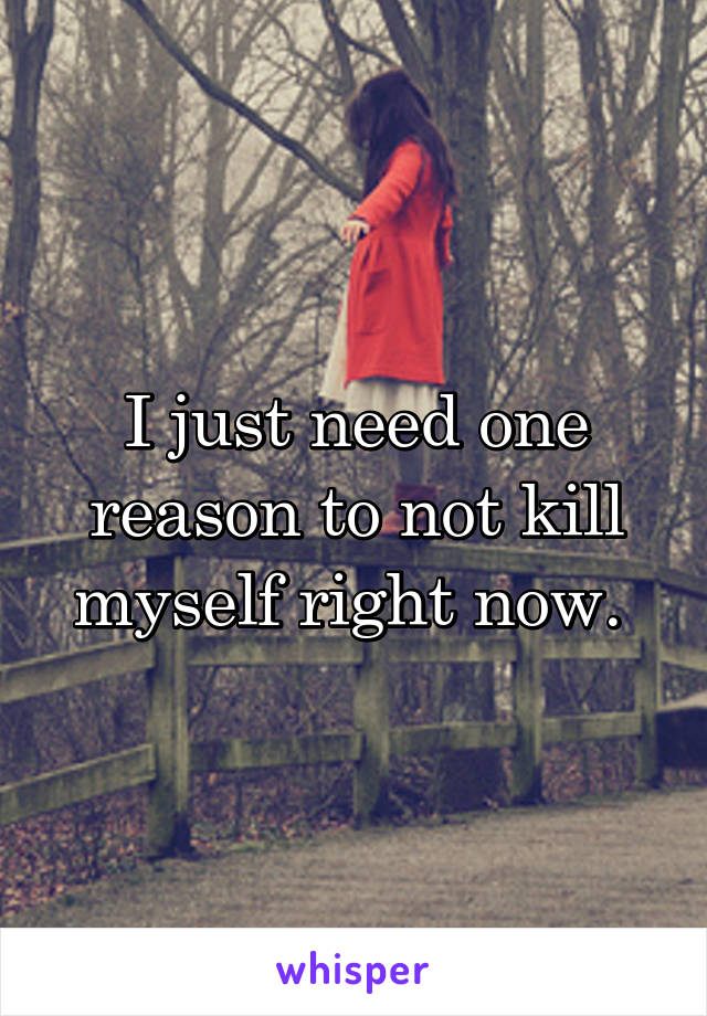 I just need one reason to not kill myself right now. 