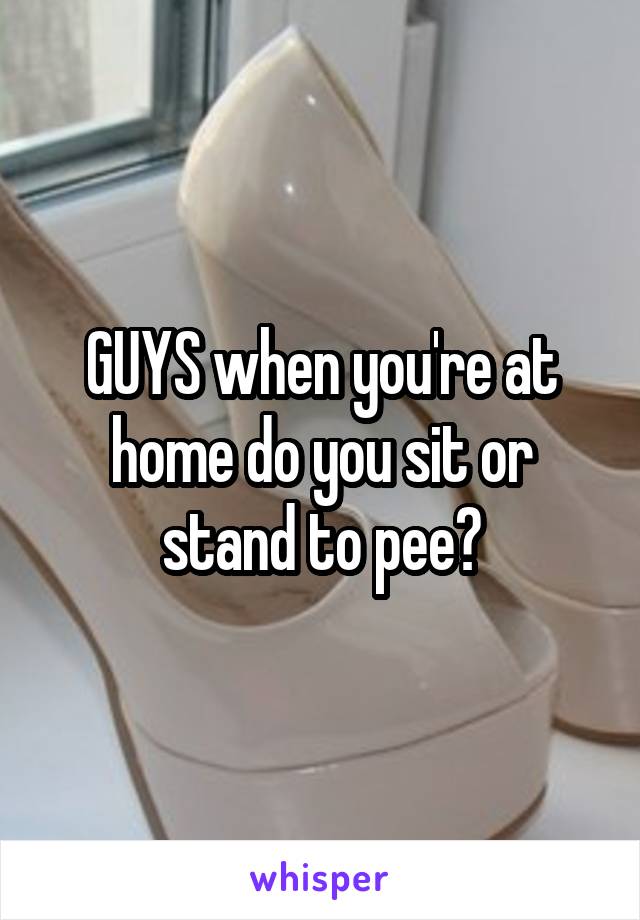 GUYS when you're at home do you sit or stand to pee?