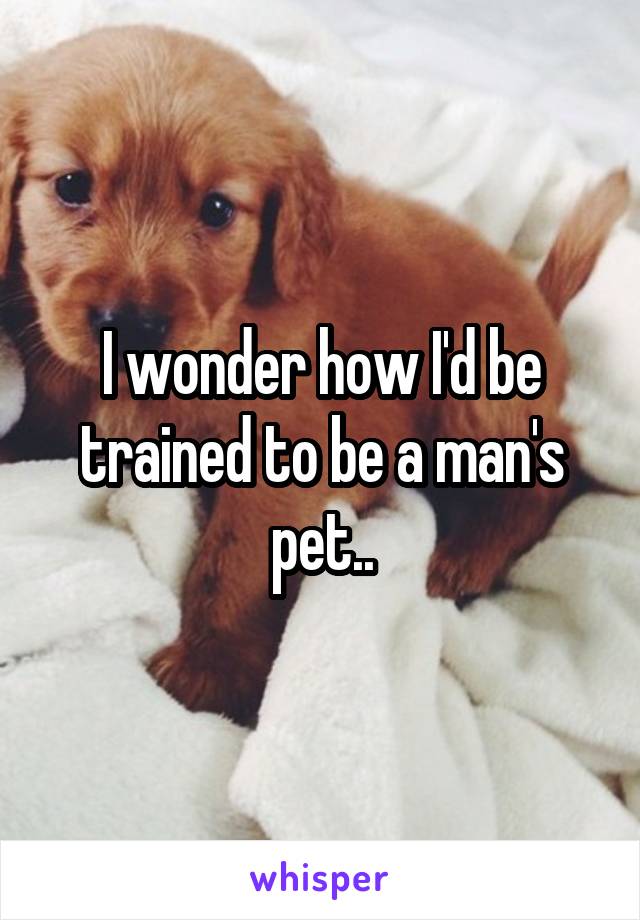 I wonder how I'd be trained to be a man's pet..