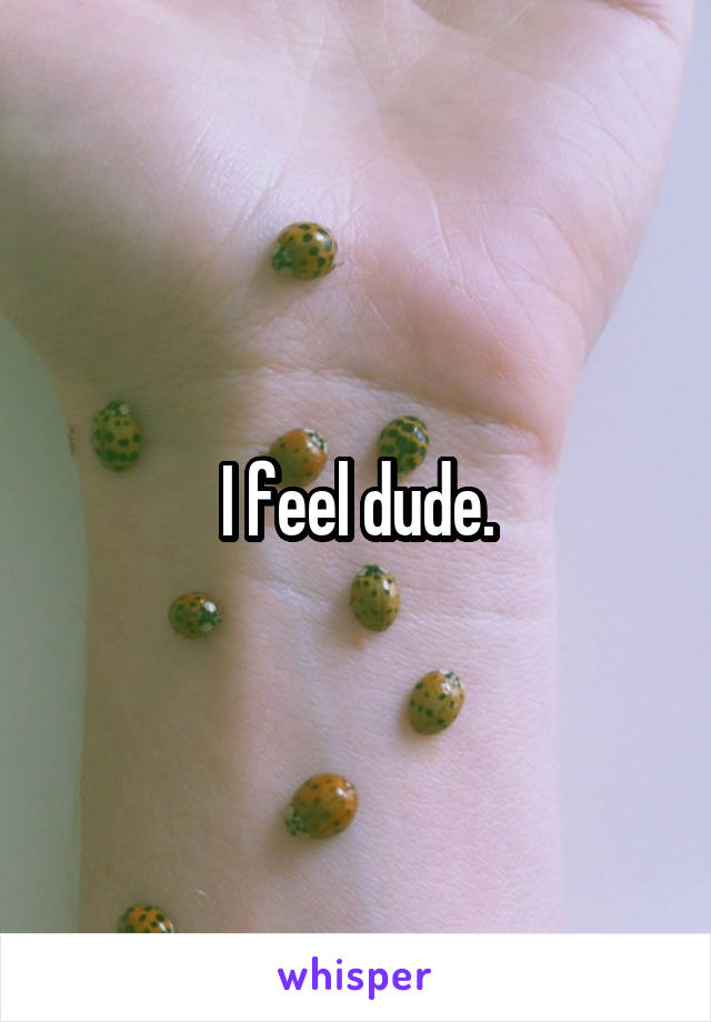 I feel dude.