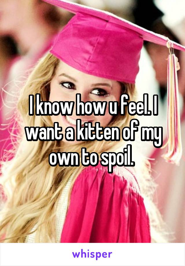 I know how u feel. I want a kitten of my own to spoil. 