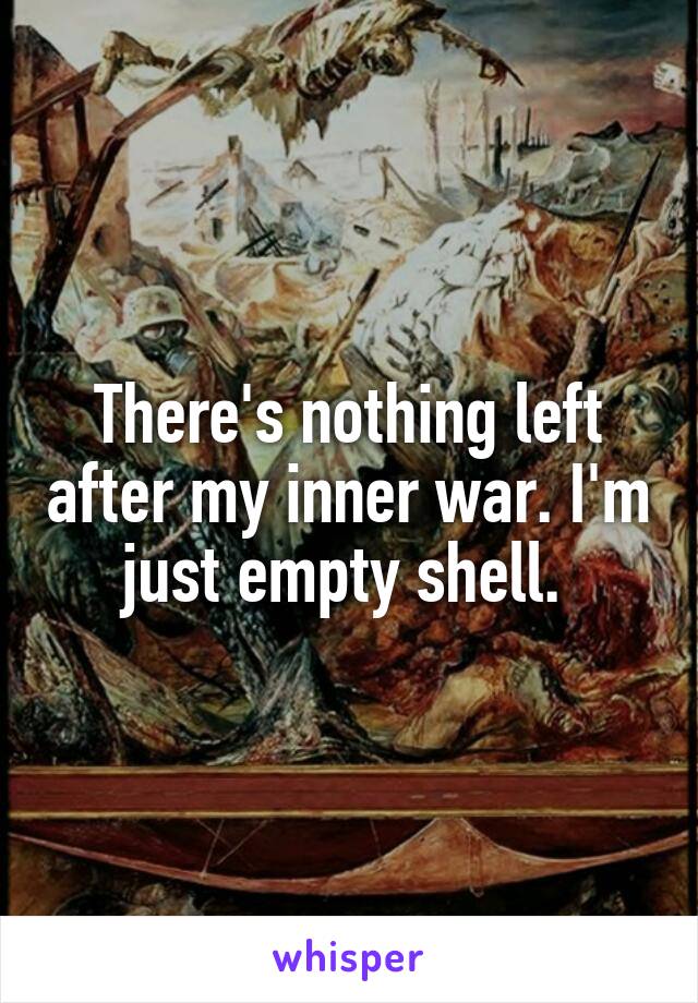 There's nothing left after my inner war. I'm just empty shell. 