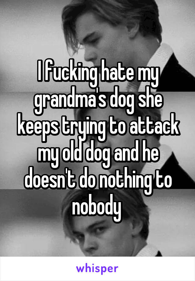 I fucking hate my grandma's dog she keeps trying to attack my old dog and he doesn't do nothing to nobody 