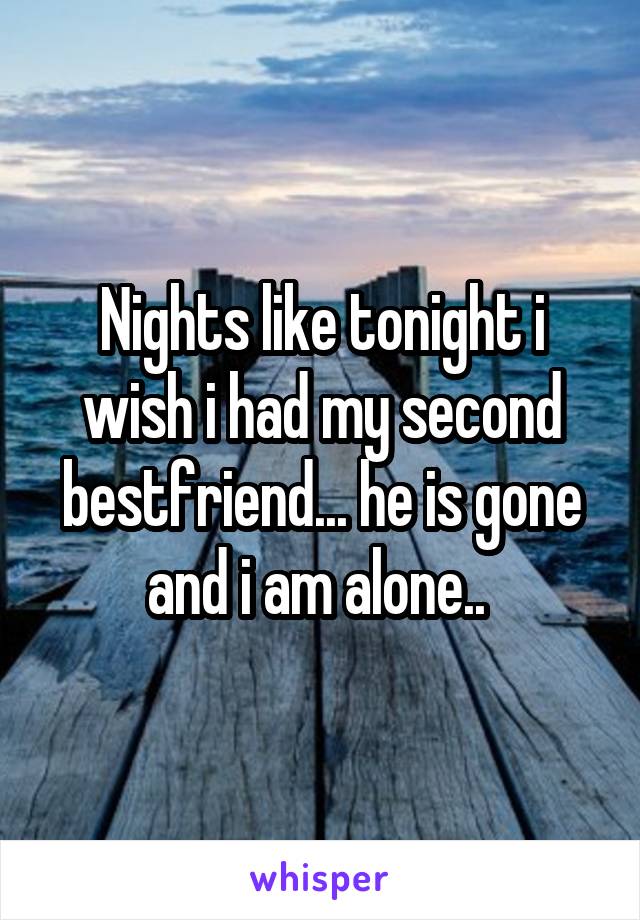 Nights like tonight i wish i had my second bestfriend... he is gone and i am alone.. 