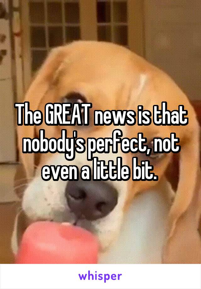 The GREAT news is that nobody's perfect, not even a little bit. 