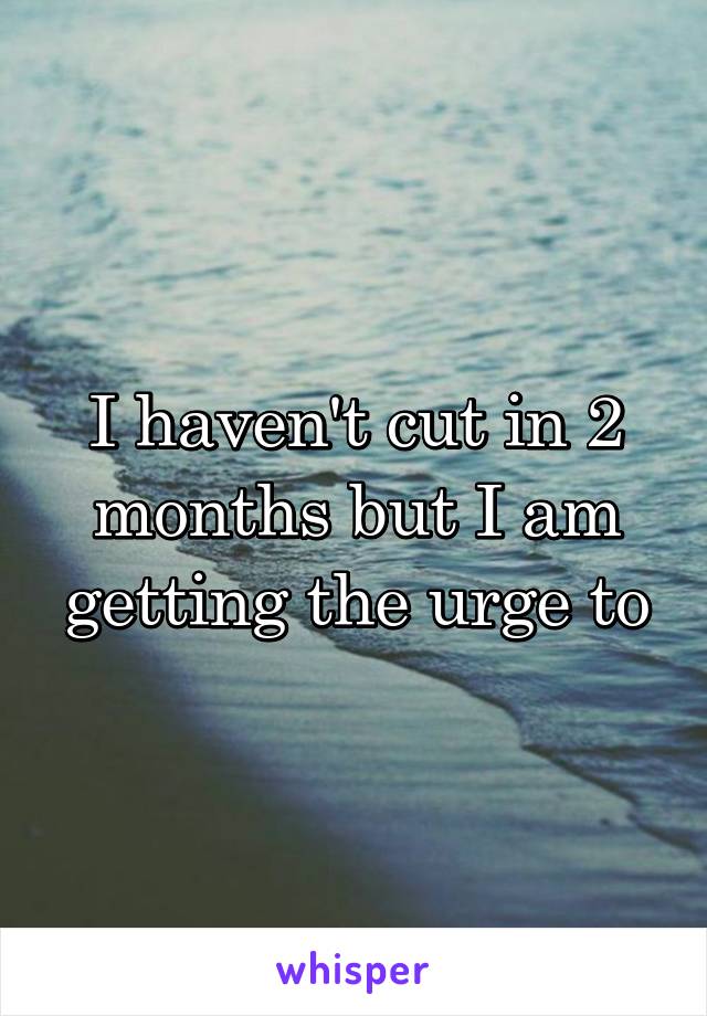 I haven't cut in 2 months but I am getting the urge to