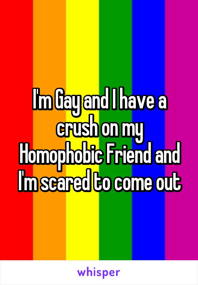 I'm Gay and I have a crush on my Homophobic Friend and I'm scared to come out