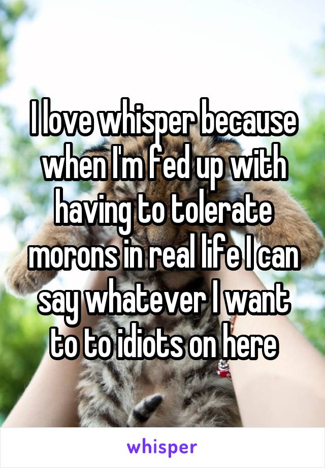 I love whisper because when I'm fed up with having to tolerate morons in real life I can say whatever I want to to idiots on here