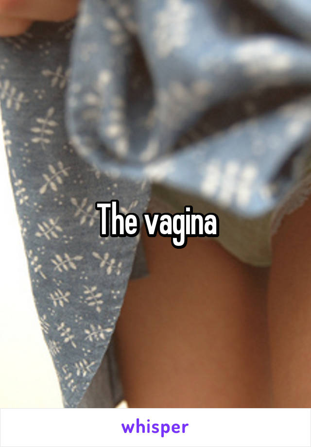 The vagina