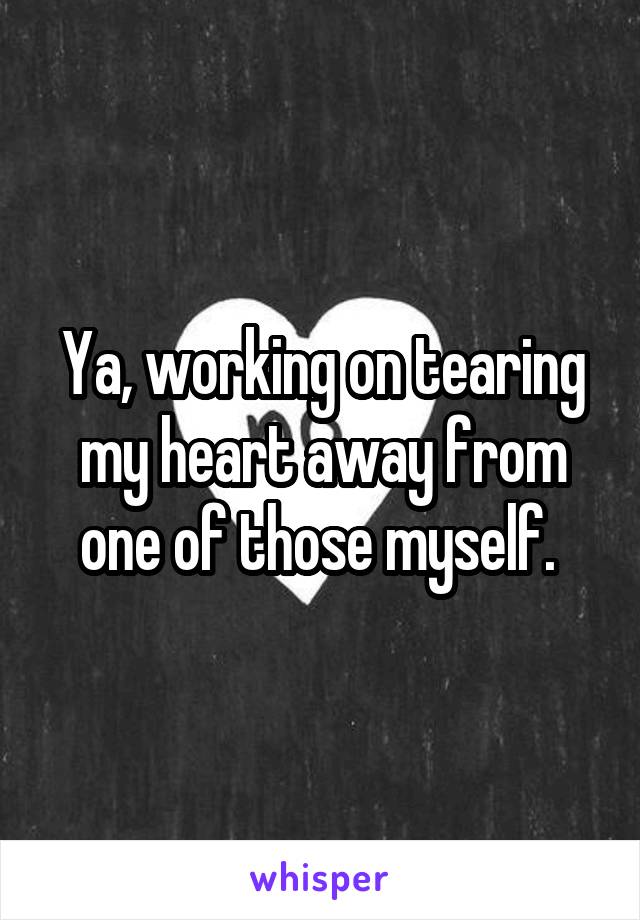 Ya, working on tearing my heart away from one of those myself. 