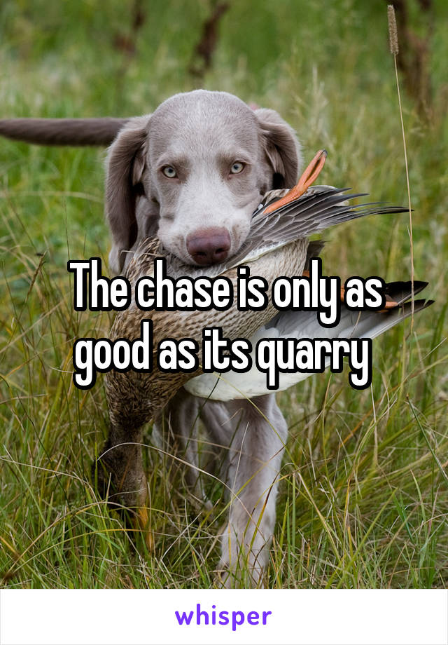 The chase is only as good as its quarry 