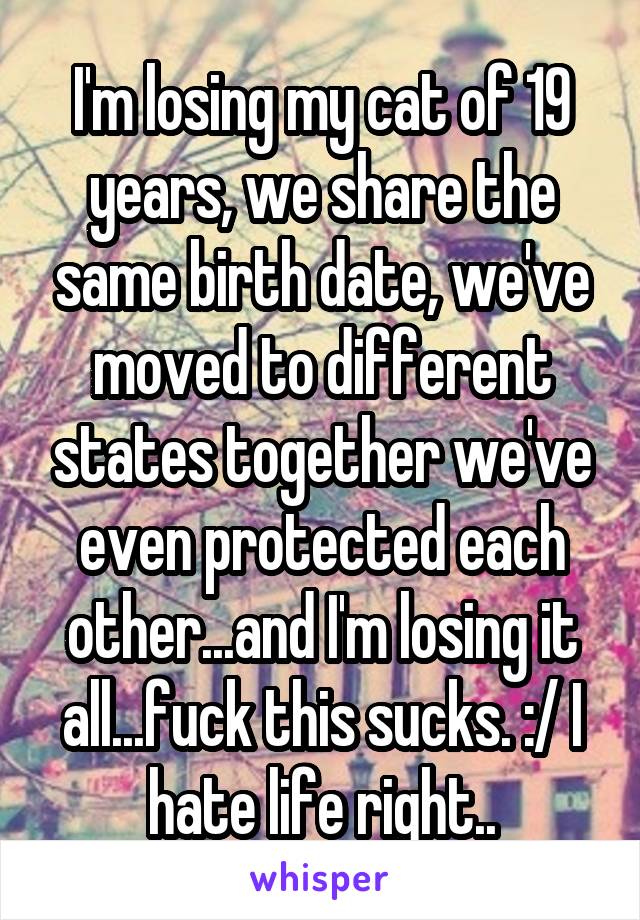 I'm losing my cat of 19 years, we share the same birth date, we've moved to different states together we've even protected each other...and I'm losing it all...fuck this sucks. :/ I hate life right..