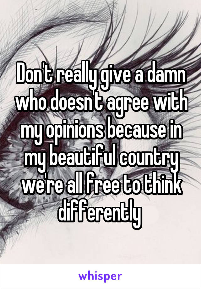 Don't really give a damn who doesn't agree with my opinions because in my beautiful country we're all free to think differently 