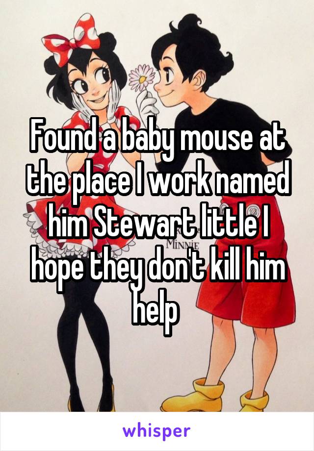 Found a baby mouse at the place I work named him Stewart little I hope they don't kill him help 