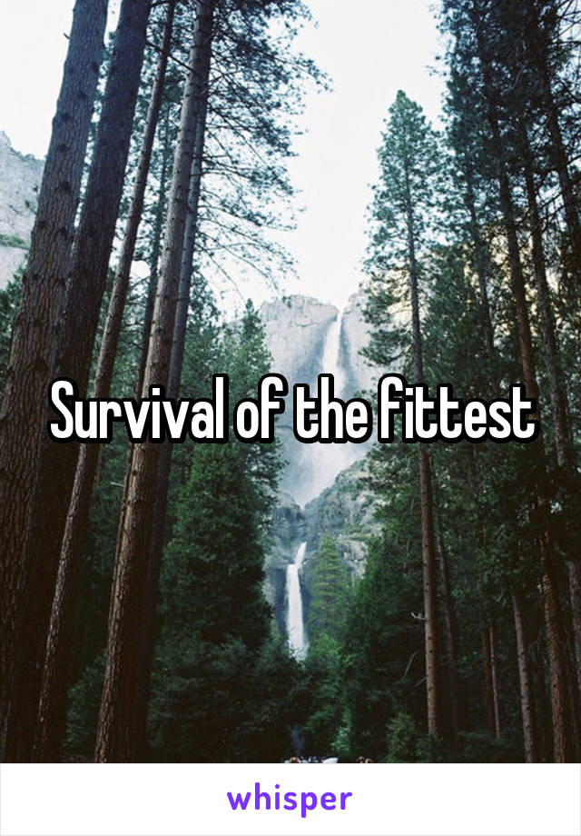 Survival of the fittest