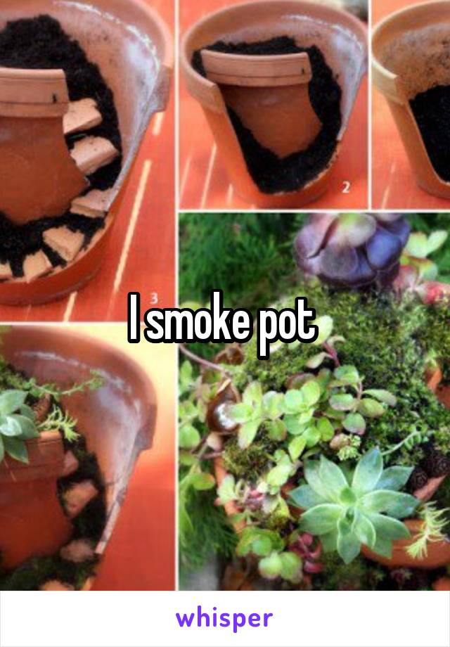 I smoke pot 