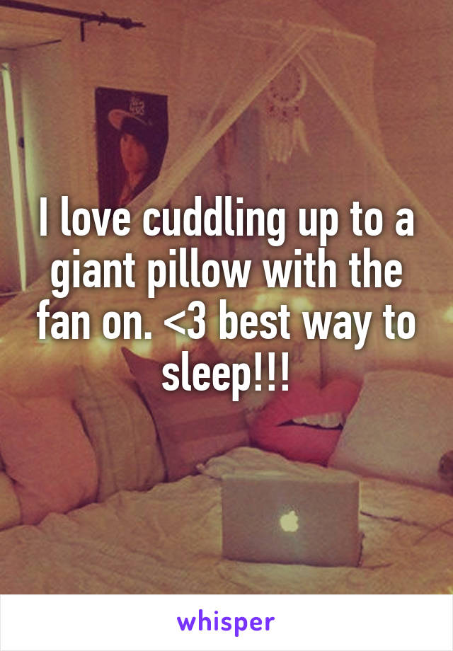 I love cuddling up to a giant pillow with the fan on. <3 best way to sleep!!!
