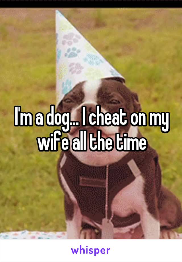 I'm a dog... I cheat on my wife all the time