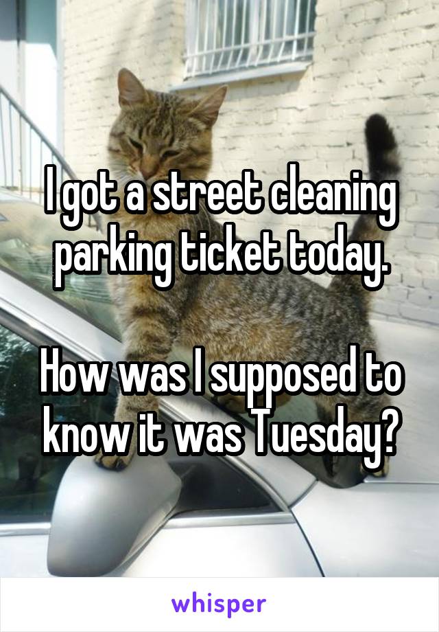 I got a street cleaning parking ticket today.

How was I supposed to know it was Tuesday?