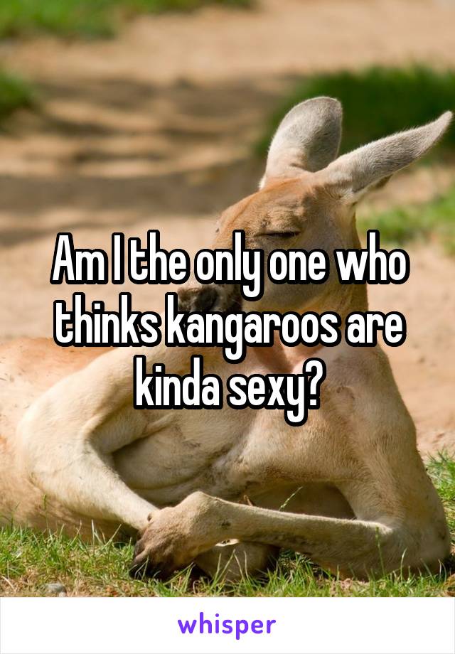 Am I the only one who thinks kangaroos are kinda sexy?