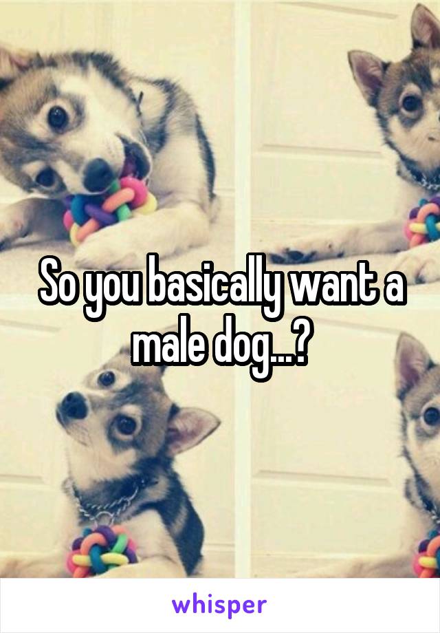 So you basically want a male dog...?