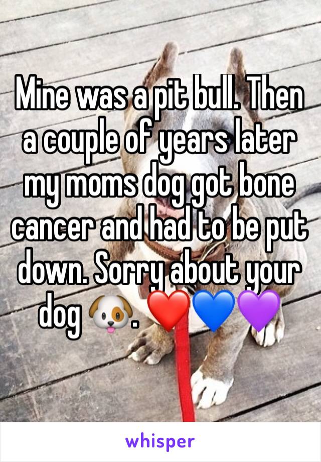 Mine was a pit bull. Then a couple of years later my moms dog got bone cancer and had to be put down. Sorry about your dog 🐶. ❤️💙💜