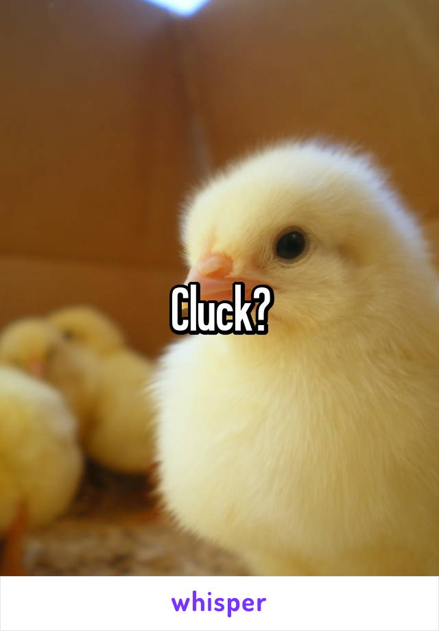 Cluck?